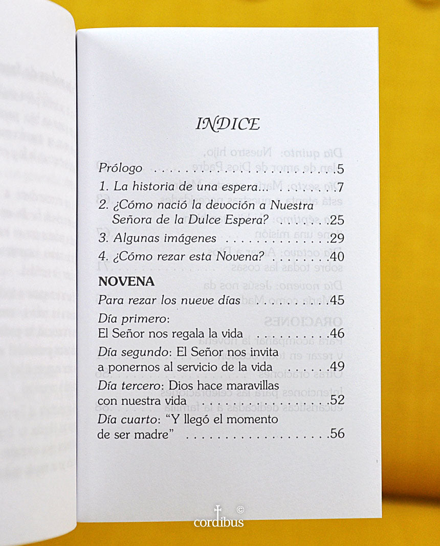 Novena a nuestra Señora de la Dulce Espera