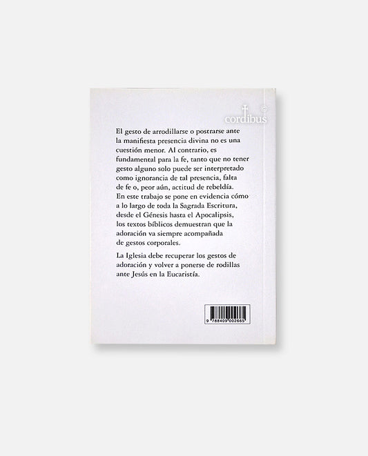¿Por qué arrodillarse?
