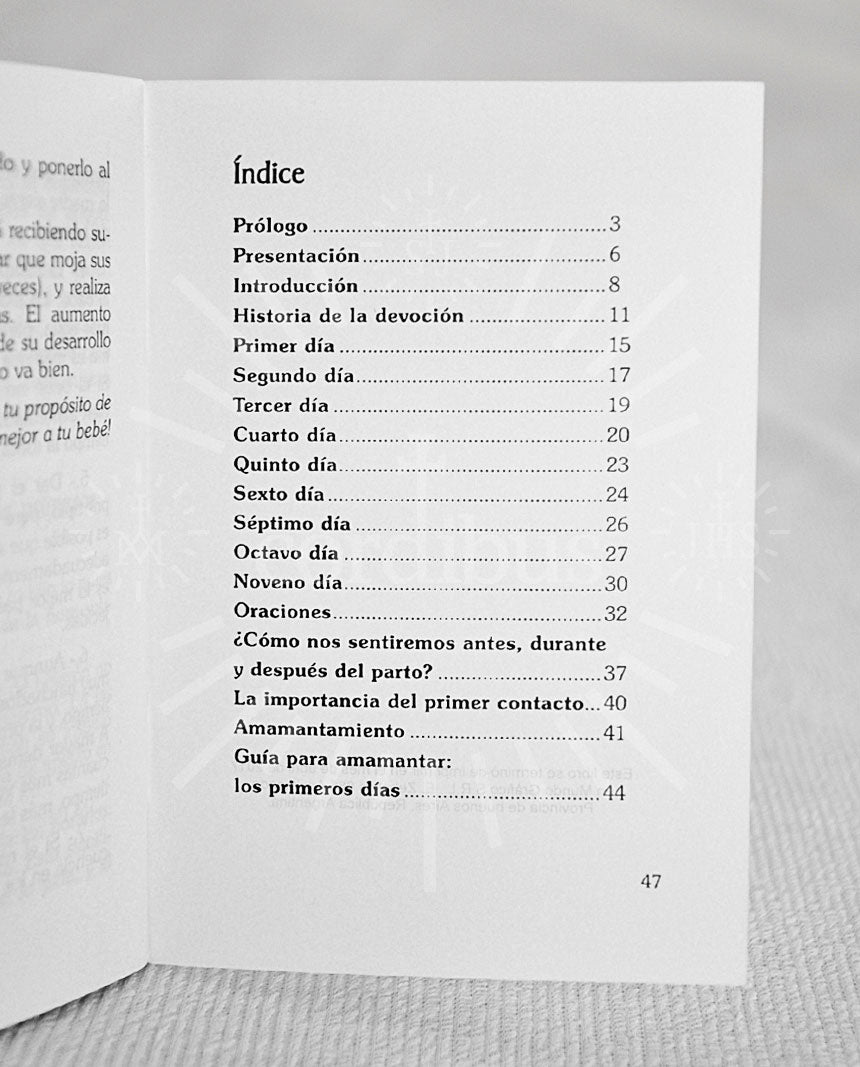 Novena a Nuestra Señora de la leche y el buen parto