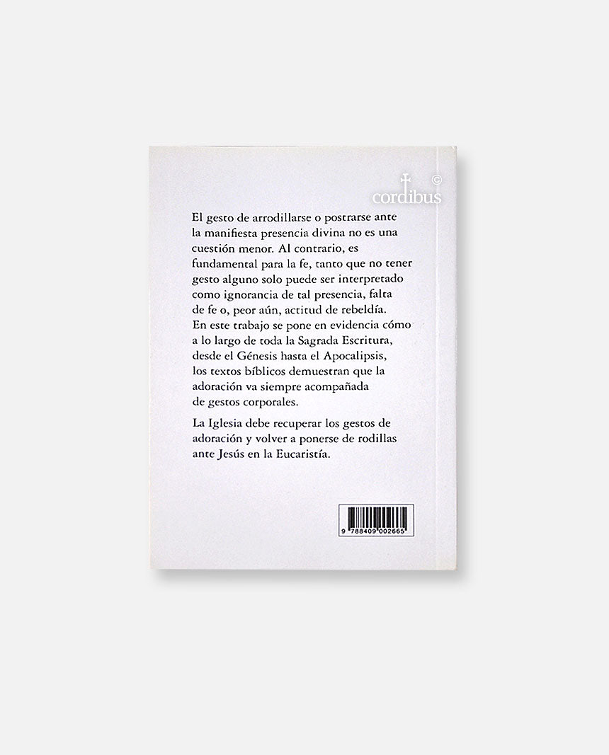 ¿Por qué arrodillarse?
