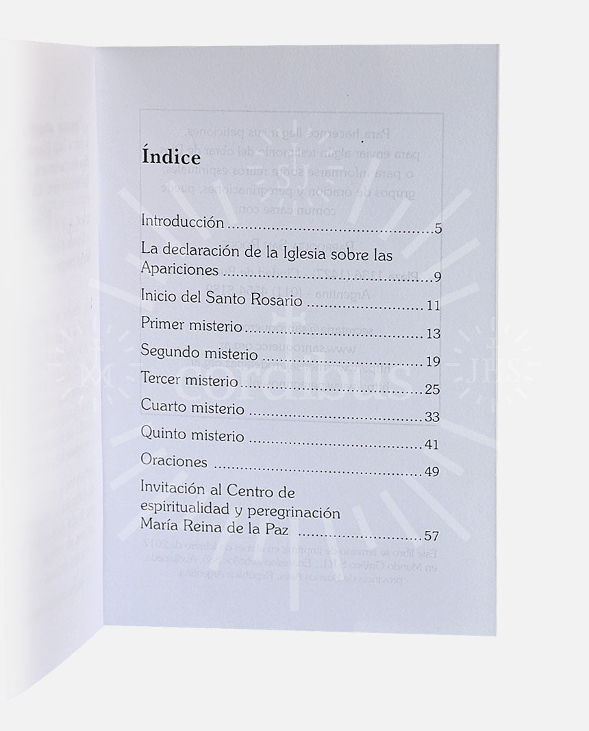 Rosario de Nuestra Señora de Lourdes, pidiendo la sanación de los enfermos