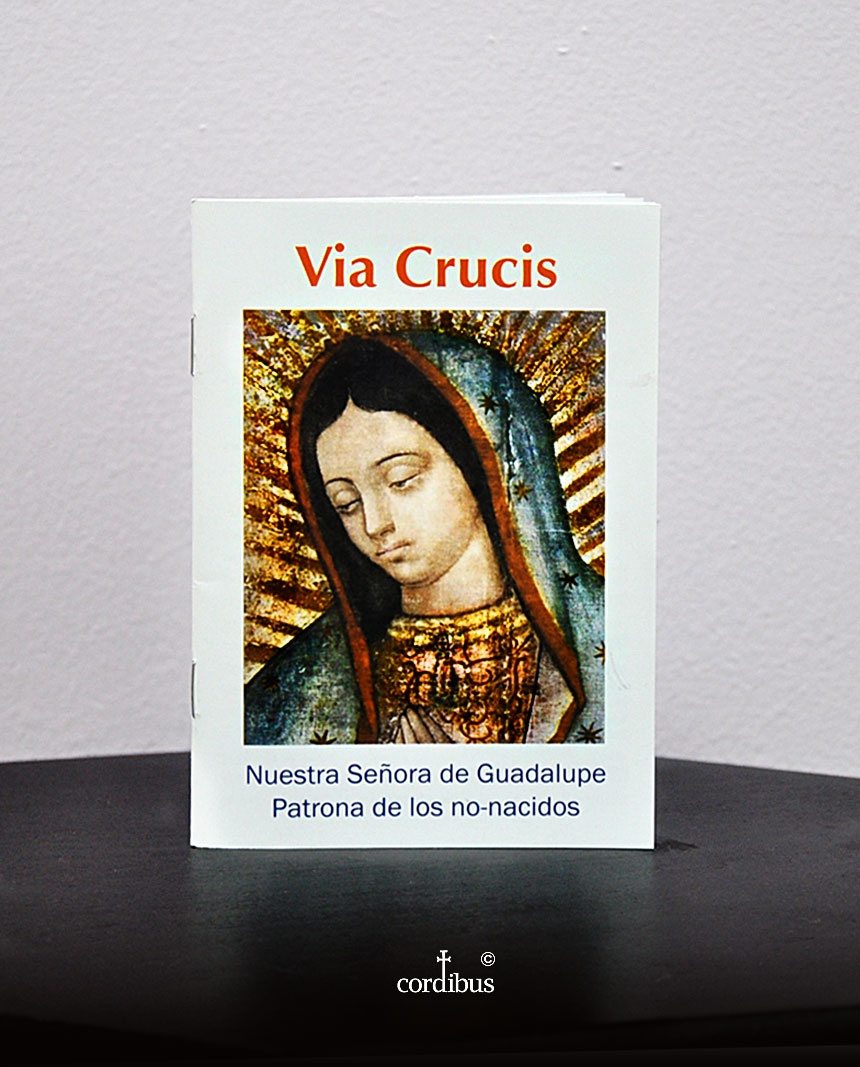 Via Crucis Nuestra Señora de Guadalupe Patrona de los no-nacidos
