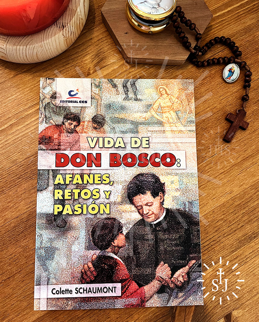 Vida de Don Bosco: Afanes, retos y pasión